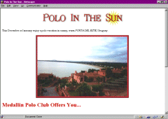 Polo in the Sun